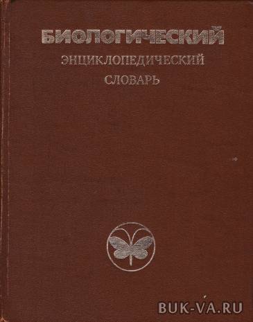 2226842.jpg 2226842.jpg