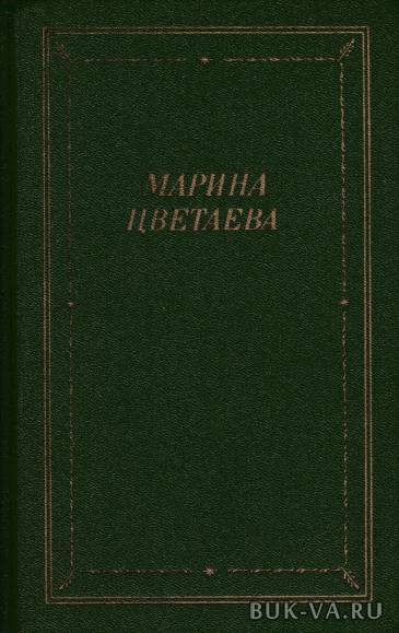2346371.jpg