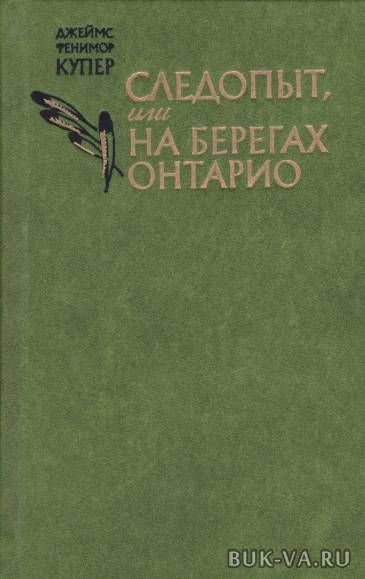 2449187.jpg