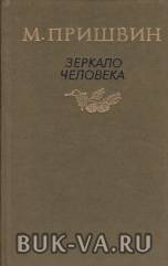 2654352.jpg