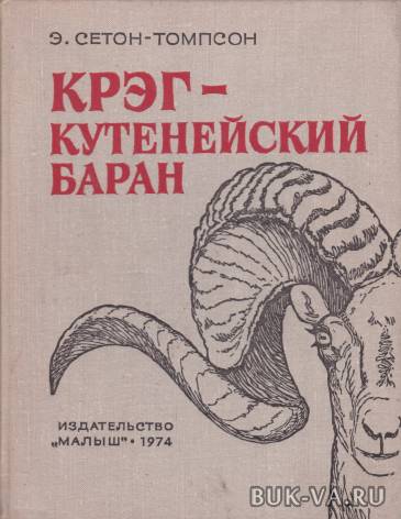 2655692.jpg