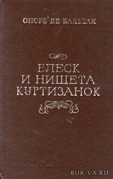 3016158.jpg