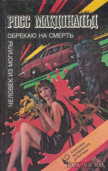 3183527.jpg
