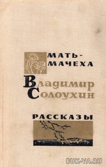 3225616.jpg