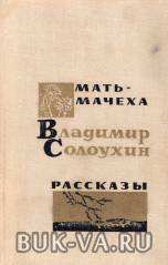 3225616.jpg