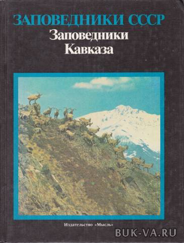 3435644.jpg 3435644.jpg