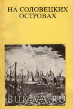 4051927.jpg