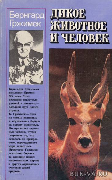 4290290.jpg 4290290.jpg