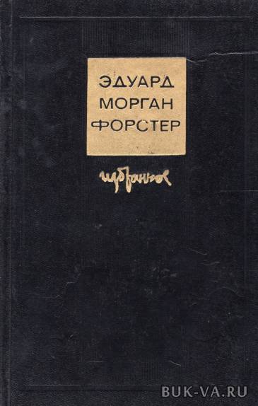 4306000.jpg