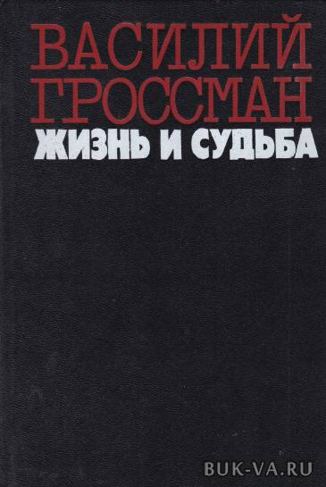 4715985.jpg 4715985.jpg