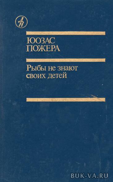 4918456.jpg