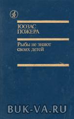 4918456.jpg