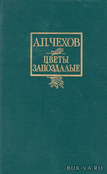 5031291.jpg 5031291.jpg