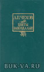 5031291.jpg