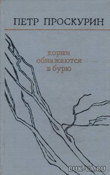 5063478.jpg