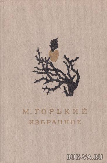 5206097.jpg 5206097.jpg