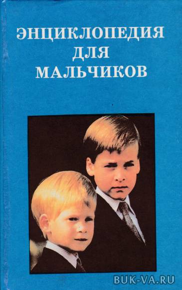 5386642.jpg