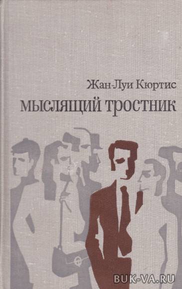 5560964.jpg