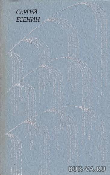 5631418.jpg