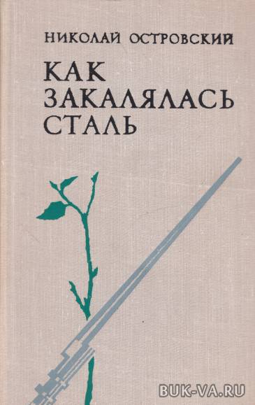 5772788.jpg