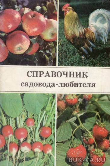 17341285.jpg
