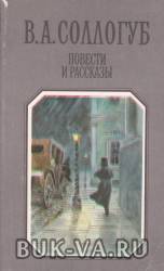 21208353.jpg