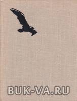 34019943.jpg