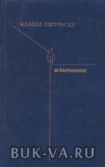 6109166.jpg