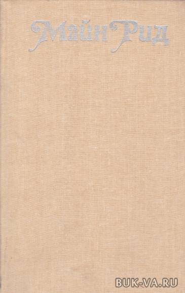 3005323.jpg