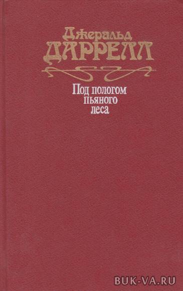 3960987.jpg