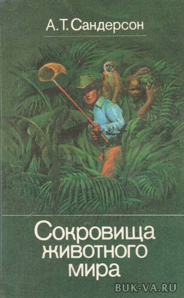 4168269.jpg