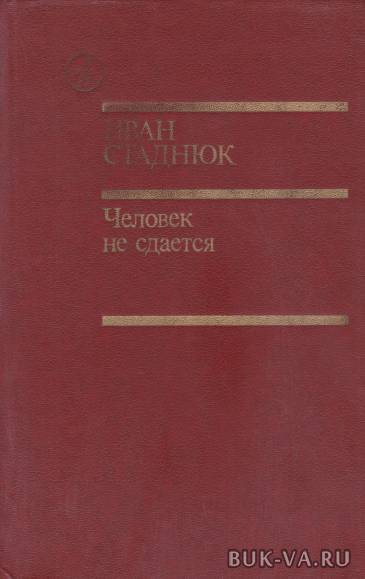 4587035.jpg 4587035.jpg
