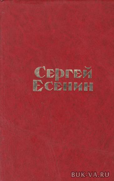 20883990.jpg