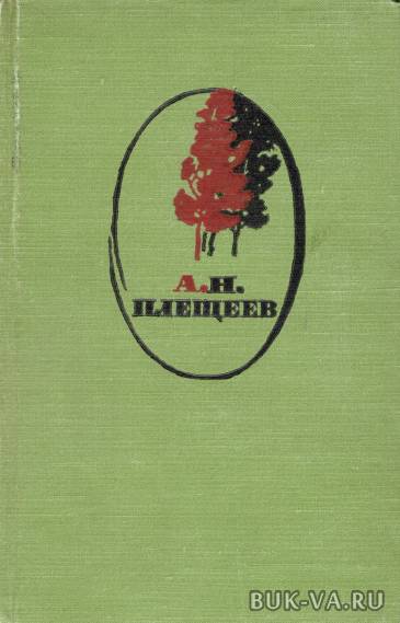 4290203.jpg 4290203.jpg