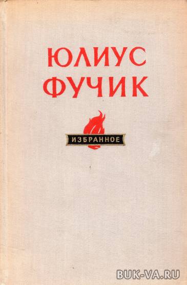 4812637.jpg