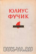 4812637.jpg