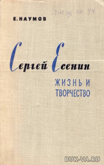 7251068.jpg