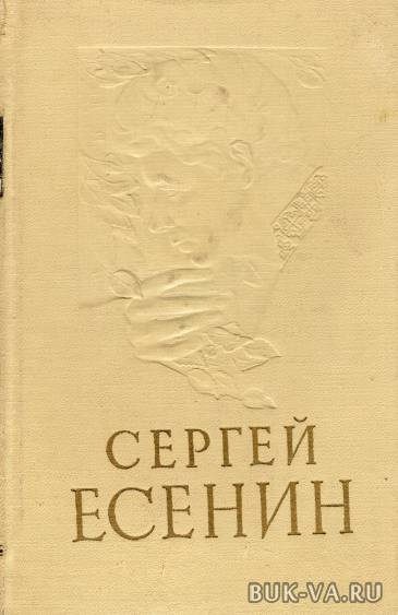 19119326.jpg