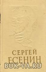 19119326.jpg