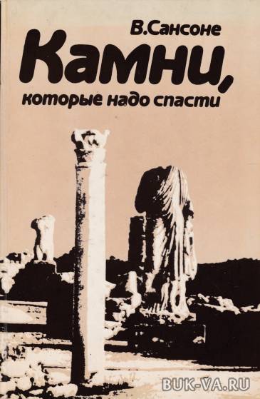 2396827.jpg