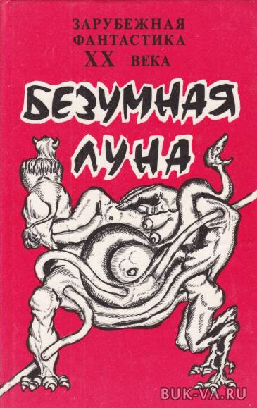 2491565.jpg 2491565.jpg