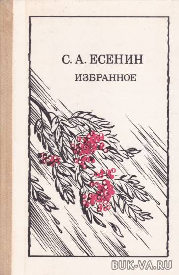 4514191.jpg