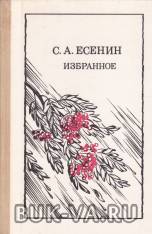 4514191.jpg