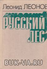 4404835.jpg