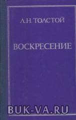 4467416.jpg