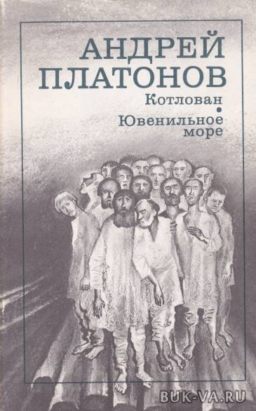 4803856.jpg 4803856.jpg