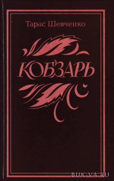 4864229.jpg