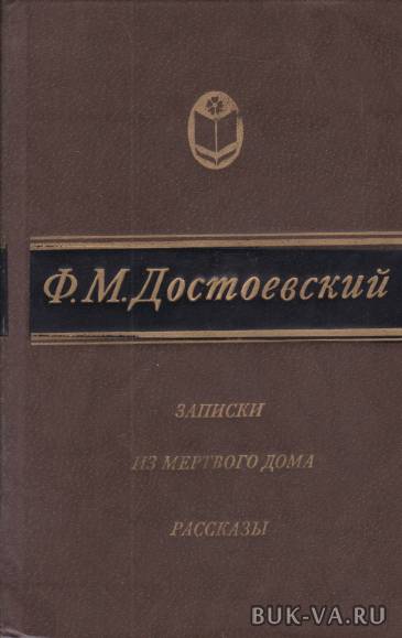 5523569.jpg