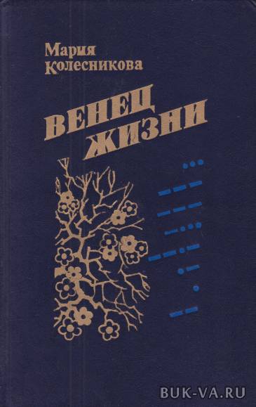 32516156.jpg