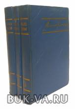 5808745.jpg